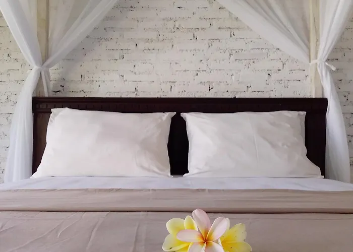 Jungle Surf House - surf&stay