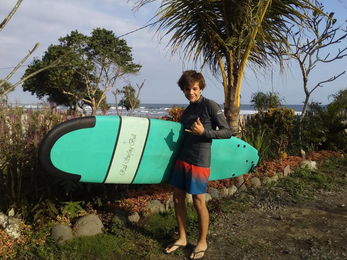 Jungle House - Surf & Hostel *