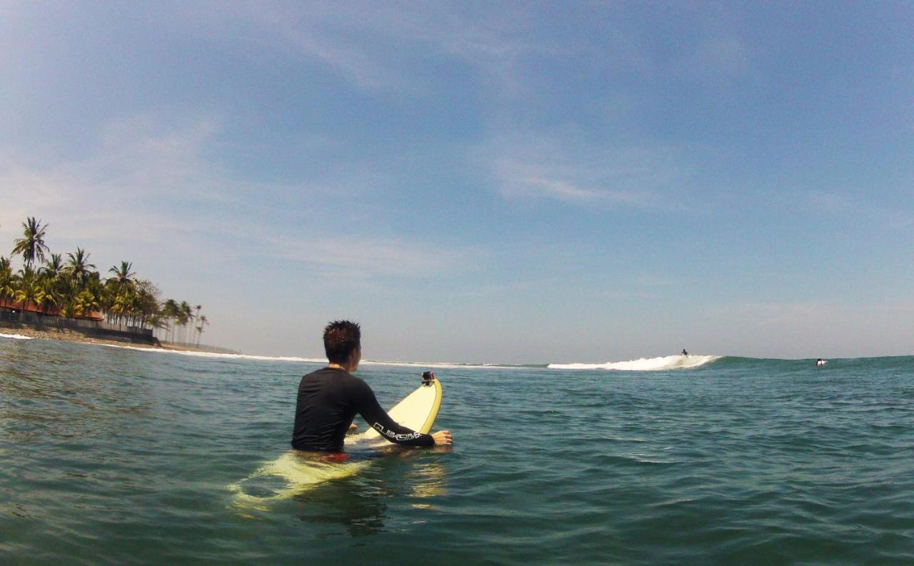 Jungle House - Surf &
