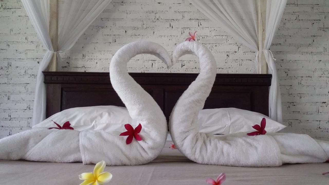 Jungle House - Surf & Hostel