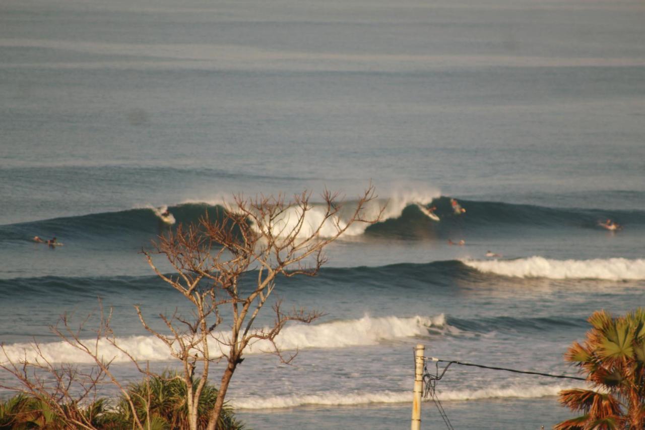 Hostel Jungle House - Surf & Pulukan