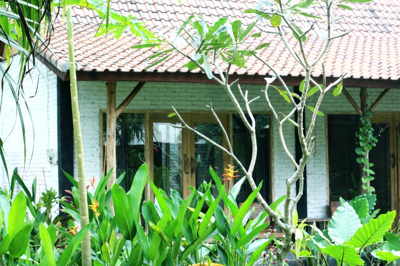Jungle House - Surf & Hostel