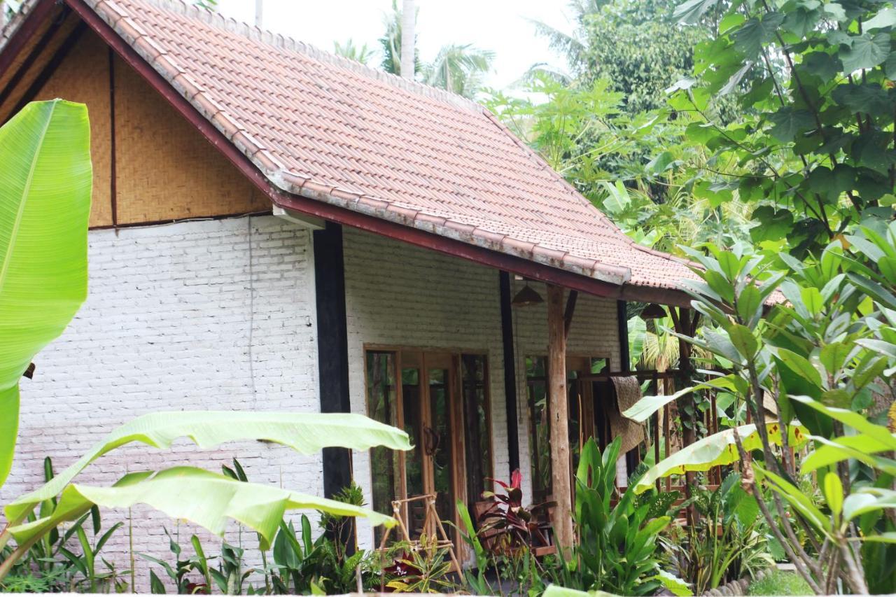 Hostel Jungle House - Surf & Pulukan