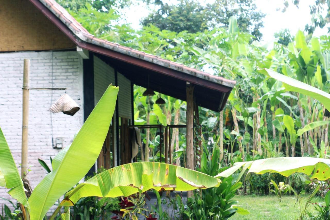 Jungle House - Surf & Pulukan