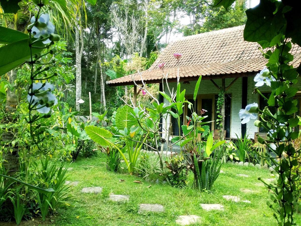 Jungle House - Surf & Hostel Pulukan