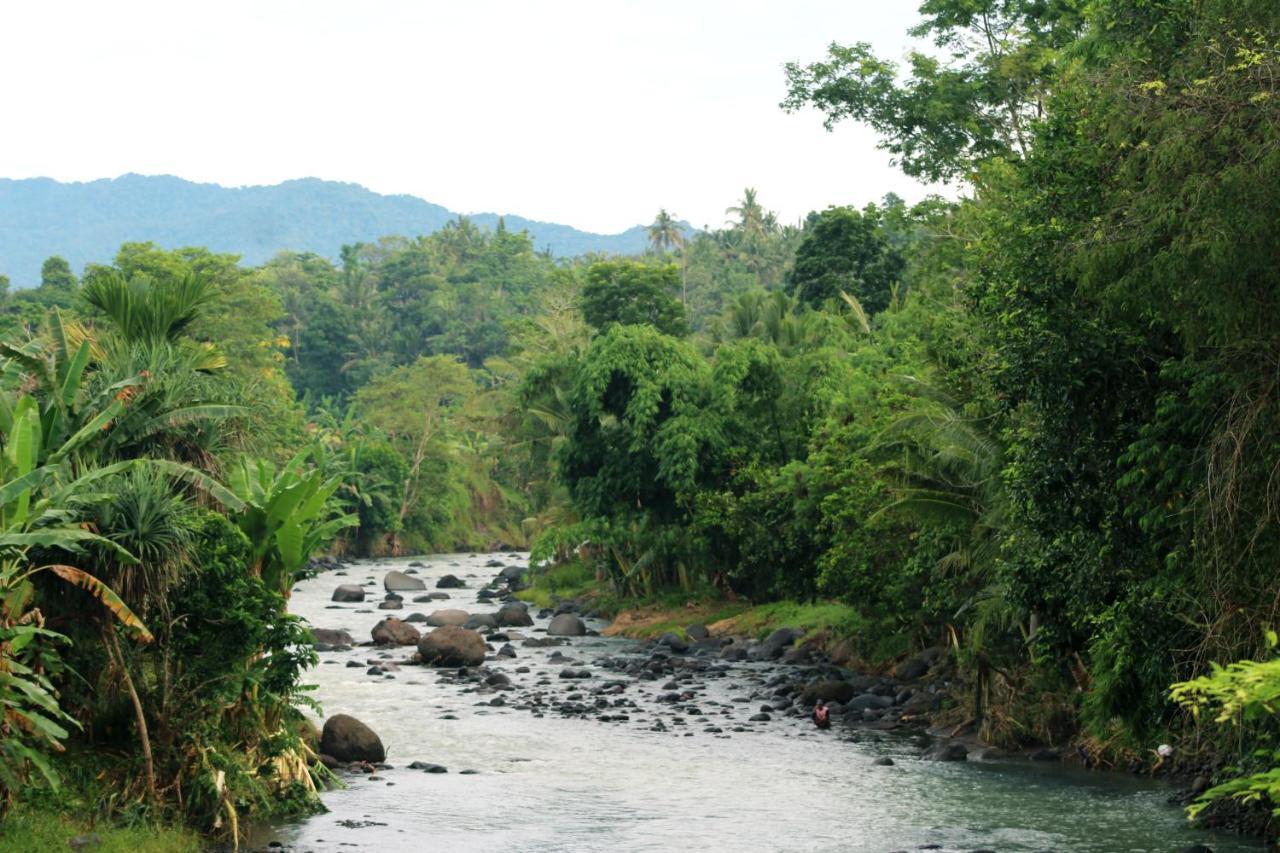 Jungle House - Surf & * Pulukan
