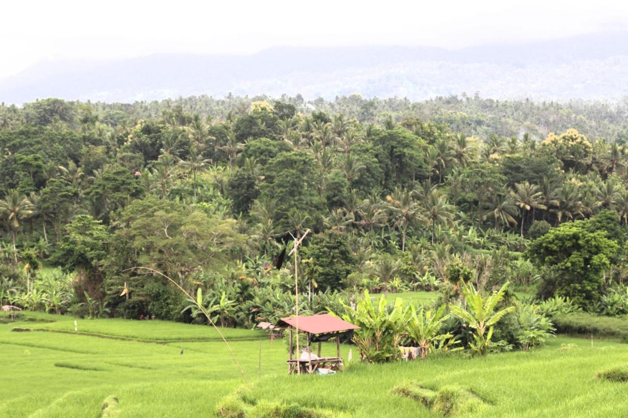 Jungle House - Surf & Hostel *