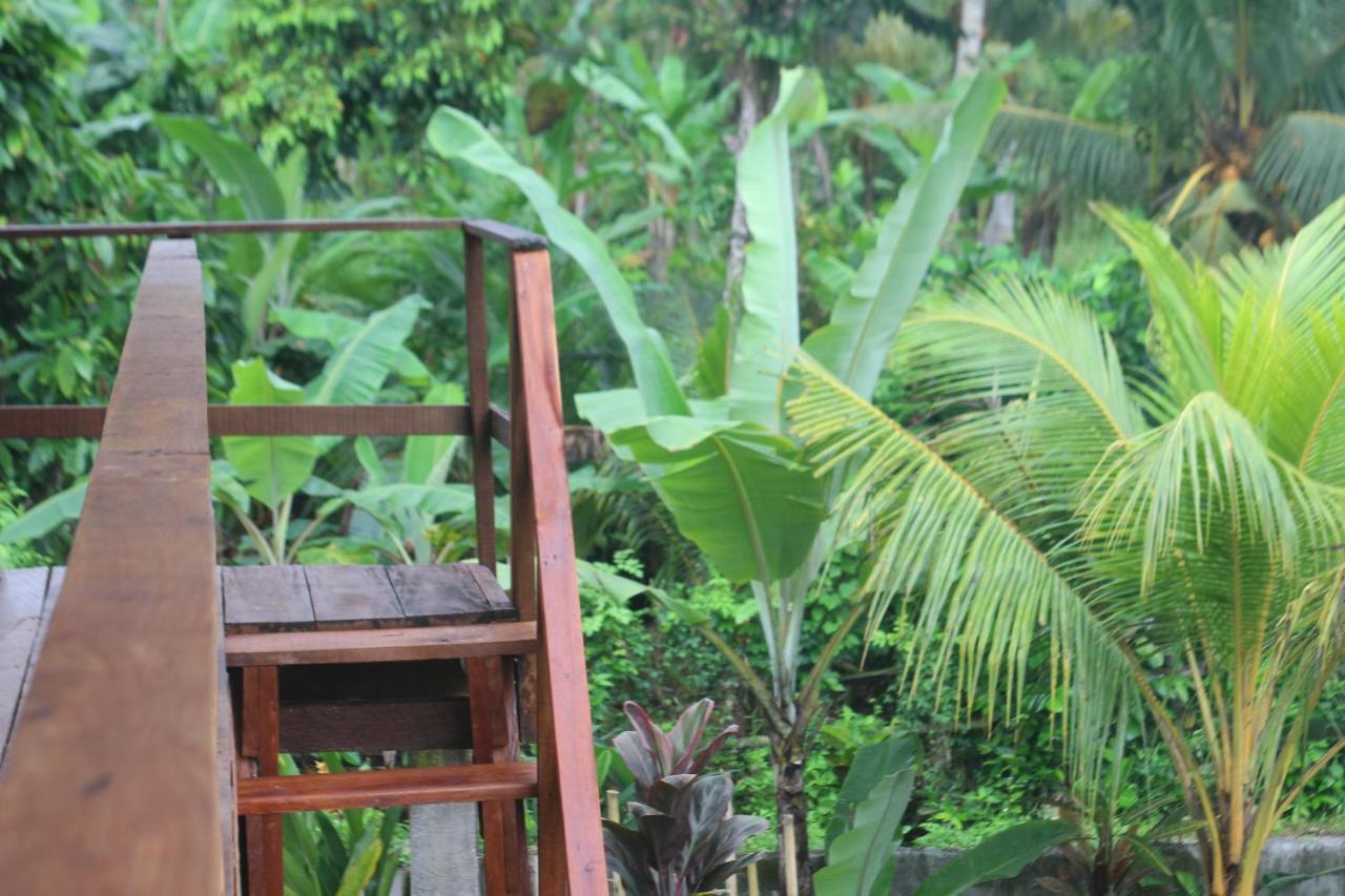 Jungle House - Surf & Hostel Pulukan